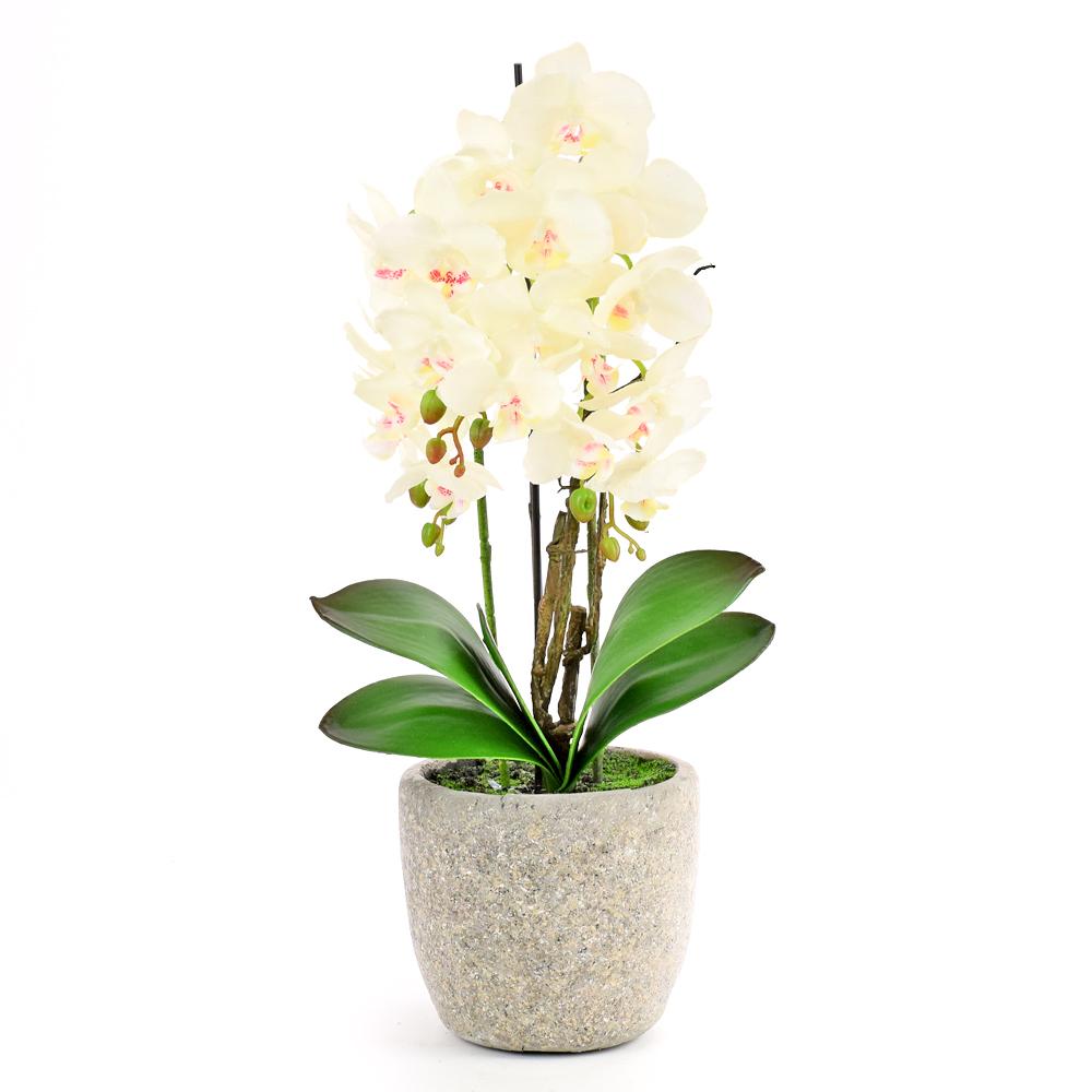 ORCHIDEJ V KVETINÁČI 3 VÝHONKY BÍLÁ 61CM